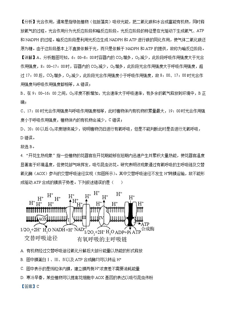 15，山东省济南市莱芜一中2023-2024学年高三上学期期末模拟生物试题第3页