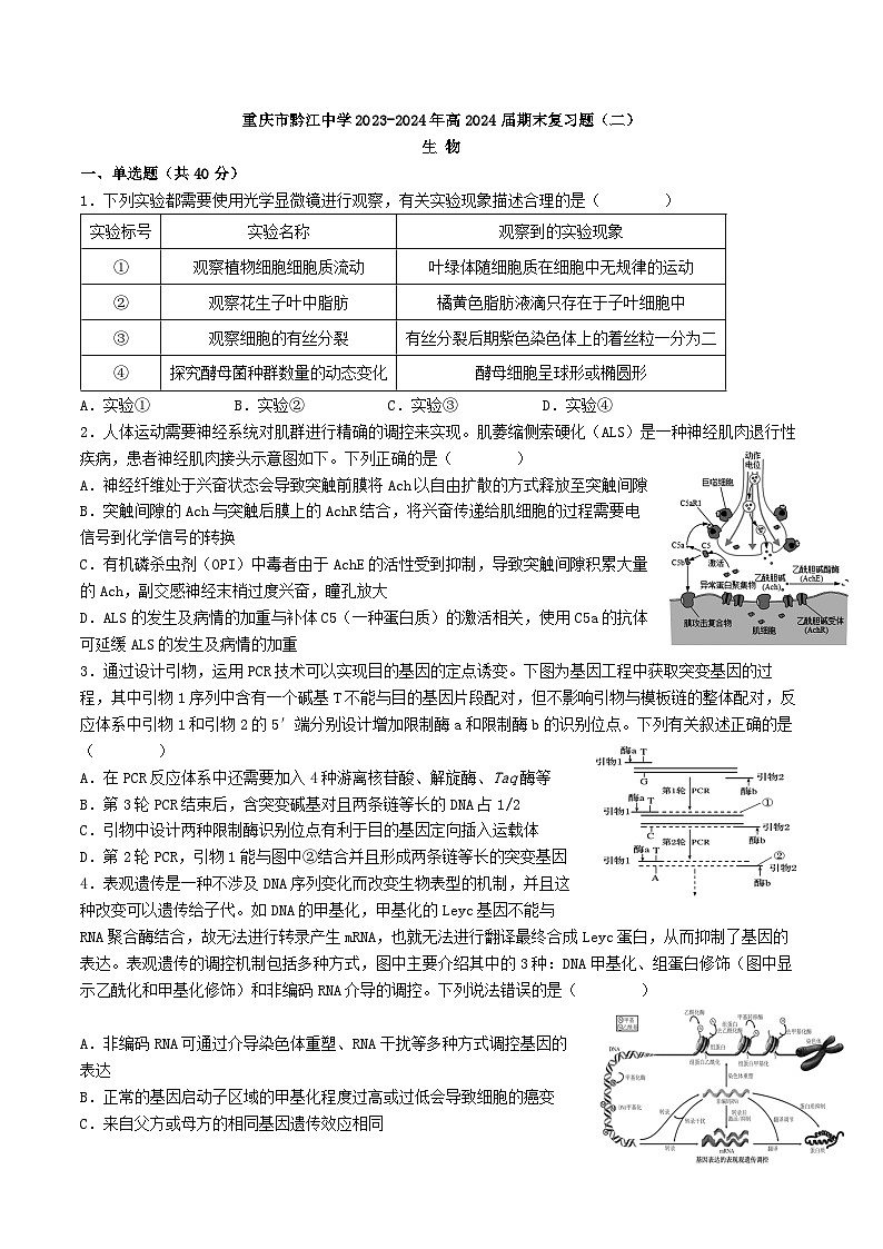 20，重庆市黔江中学2023-2024学年高三上学期期末复习（二）生物试题第1页