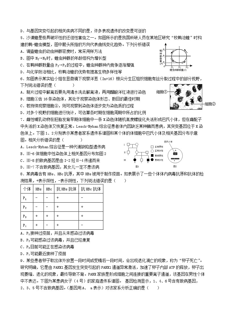 20，重庆市黔江中学2023-2024学年高三上学期期末复习（二）生物试题第2页