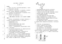 2022届高三一模检测卷 生物 A卷 学生版