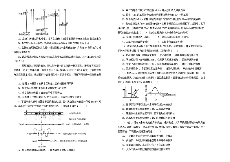 2022届高三一模检验卷 生物 A卷 学生版第2页