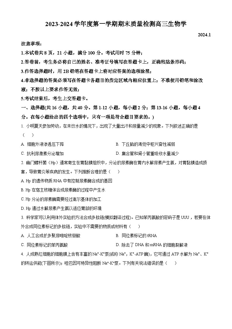 精品解析：广东省深圳市罗湖区2023-2024学年高三1月期末生物试题（原卷版）第1页