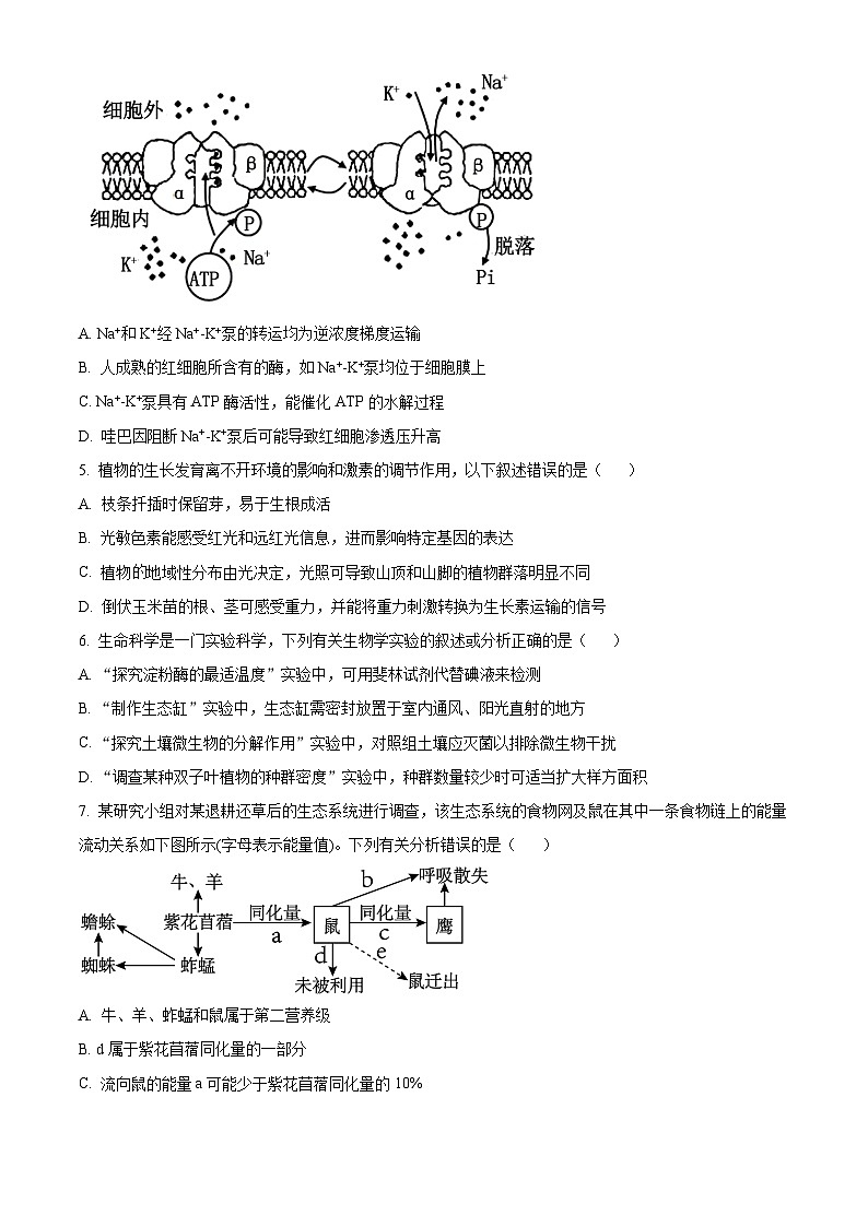 精品解析：广东省深圳市罗湖区2023-2024学年高三1月期末生物试题（原卷版）第2页