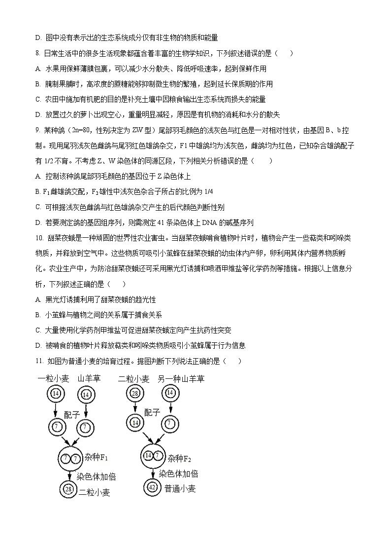 精品解析：广东省深圳市罗湖区2023-2024学年高三1月期末生物试题（原卷版）第3页