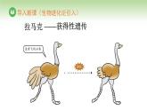 人教版高中生物必修第二冊 遺傳與進化  第1章 第1節(jié) 第1課時 一對相對性狀的雜交實驗過程及解釋（課件）