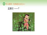 人教版高中生物必修第二冊 遺傳與進化  第1章 第1節(jié) 第1課時 一對相對性狀的雜交實驗過程及解釋（課件）