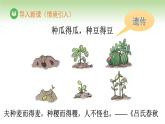 人教版高中生物必修第二冊 遺傳與進化  第1章 第1節(jié) 第1課時 一對相對性狀的雜交實驗過程及解釋（課件）