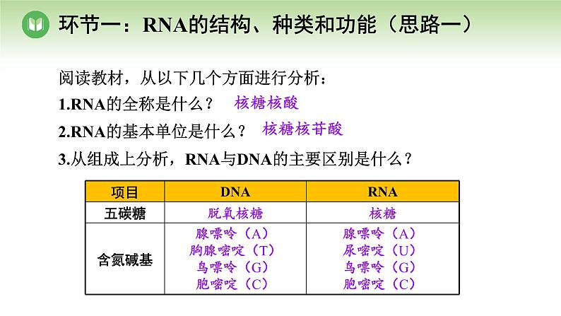 人教版高中生物必修第二册 遗传与进化  第4章 第1节 第1课时 遗传信息的转录（课件）06