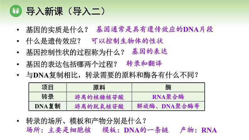 人教版高中生物必修第二册 遗传与进化  第4章 第1节 第2课时 遗传信息的翻译及中心法则（课件）第3页