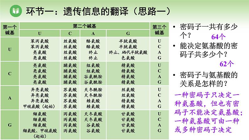 人教版高中生物必修第二册 遗传与进化  第4章 第1节 第2课时 遗传信息的翻译及中心法则（课件）第6页