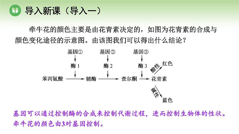 人教版高中生物必修第二册 遗传与进化  第4章 第2节 第2课时 表观遗传（课件）02