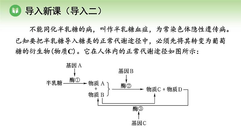 人教版高中生物必修第二册 遗传与进化  第4章 第2节 第2课时 表观遗传（课件）04