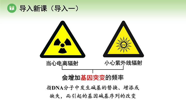 人教版高中生物必修第二册 遗传与进化  第5章 第1节 第2课时 基因突变的原因和意义、基因重组（课件）02