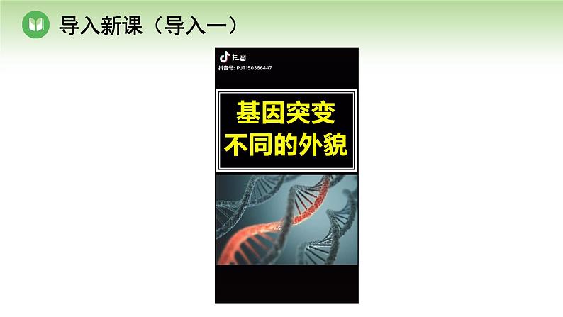 人教版高中生物必修第二册 遗传与进化  第5章 第1节 第2课时 基因突变的原因和意义、基因重组（课件）03