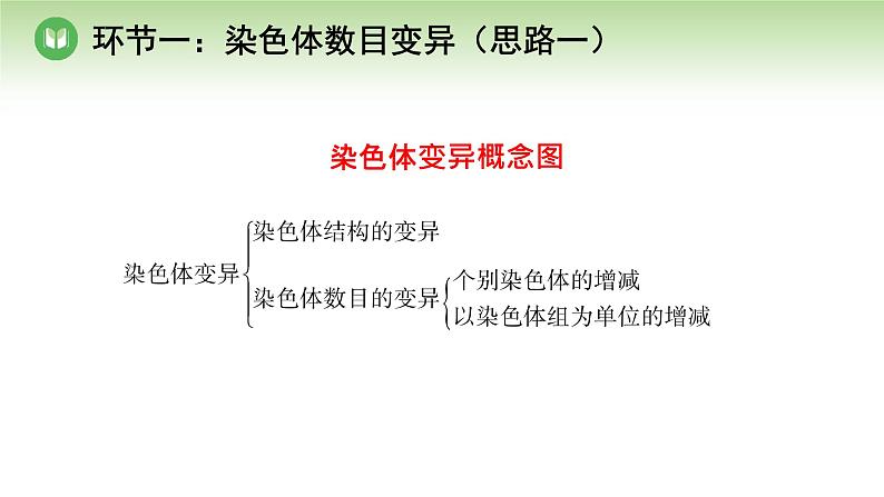 人教版高中生物必修第二册 遗传与进化  第5章 第2节 第1课时 染色体数目的变异（课件）05