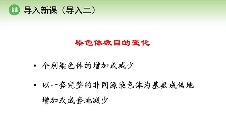 人教版高中生物必修第二册 遗传与进化  第5章 第2节 第2课时 染色体结构的变异及低温诱导植物细胞染色体数目的变化 （课件）05