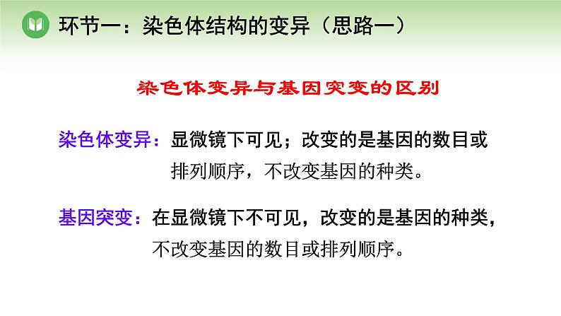 人教版高中生物必修第二册 遗传与进化  第5章 第2节 第2课时 染色体结构的变异及低温诱导植物细胞染色体数目的变化 （课件）08