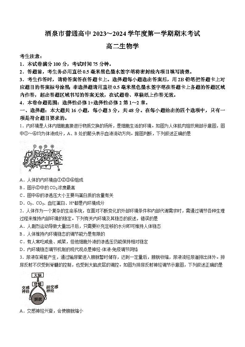 2024酒泉普通高中高二上学期期末考试生物无答案01