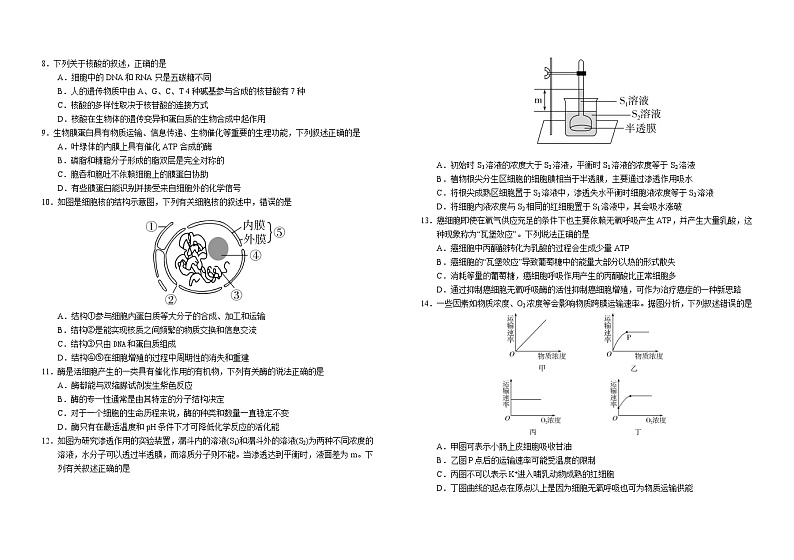 2024普通高中G6教考联盟高一上学期1月期末考试生物含答案第2页