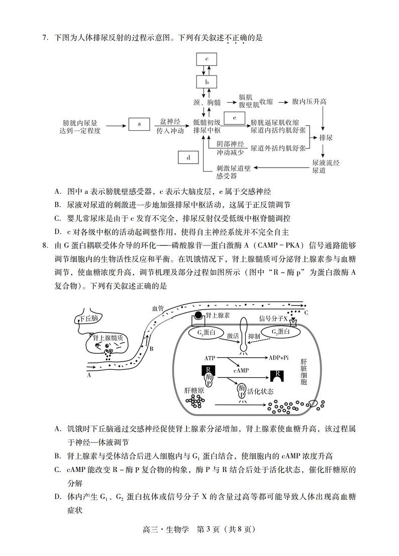 广东省汕尾市揭阳市2023-2024学年高三上学期教学质量（期末）考试生物学（含答）03