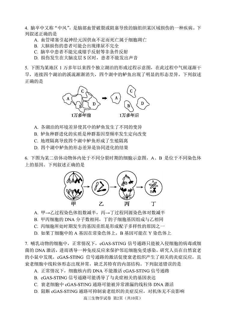 辽宁省大连市2024届高三上学期期末双基测试生物02