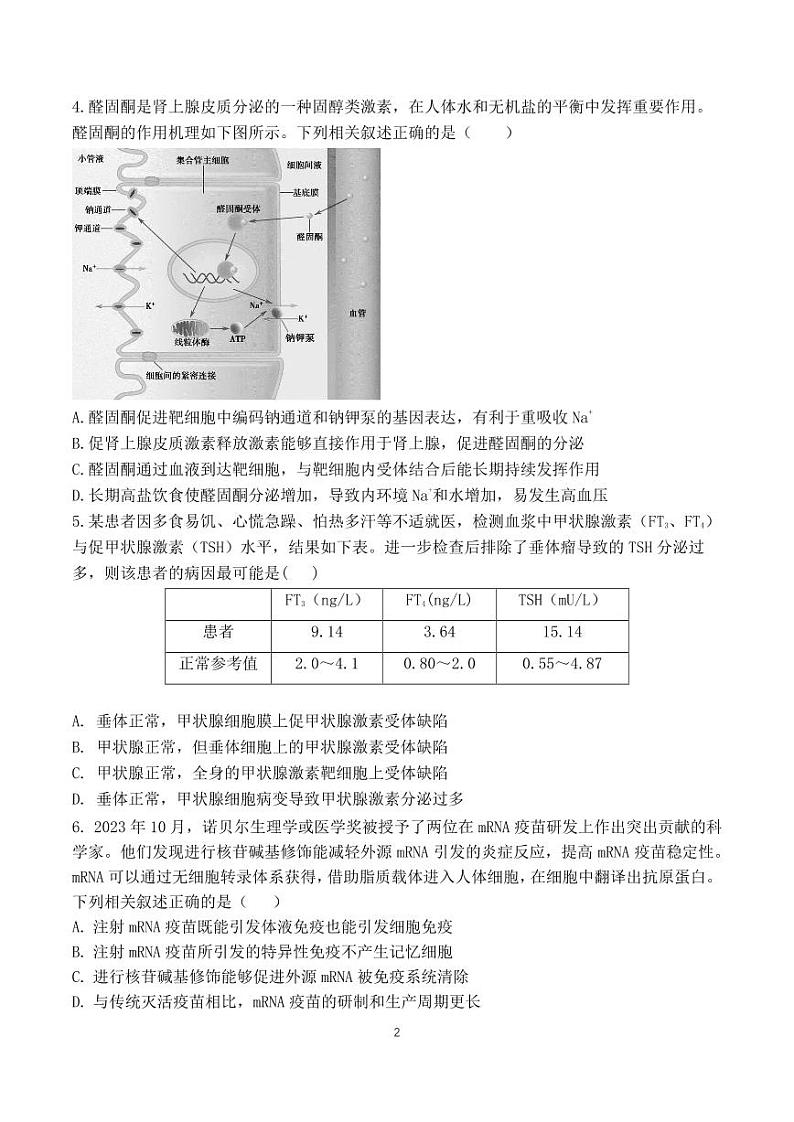 2023-2024学年北京朝阳区高二上学期期末生物试题及答案02