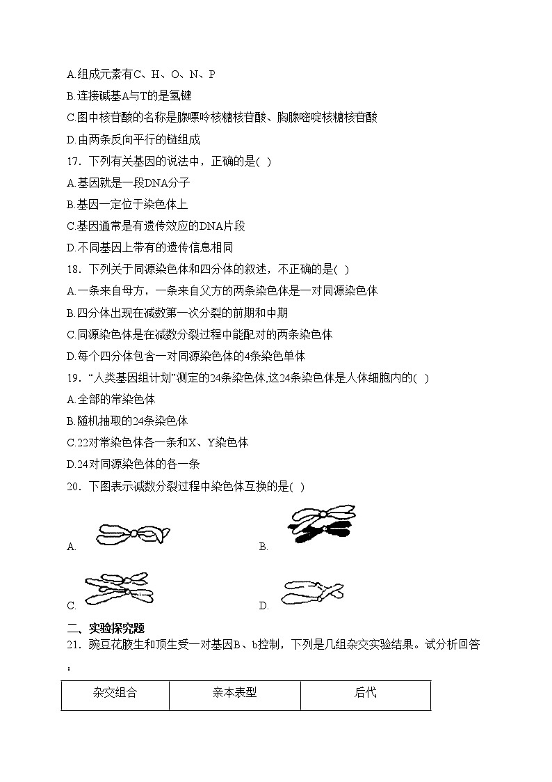 宁县第二中学2022-2023学年高一下学期期中生物试卷(含答案)03