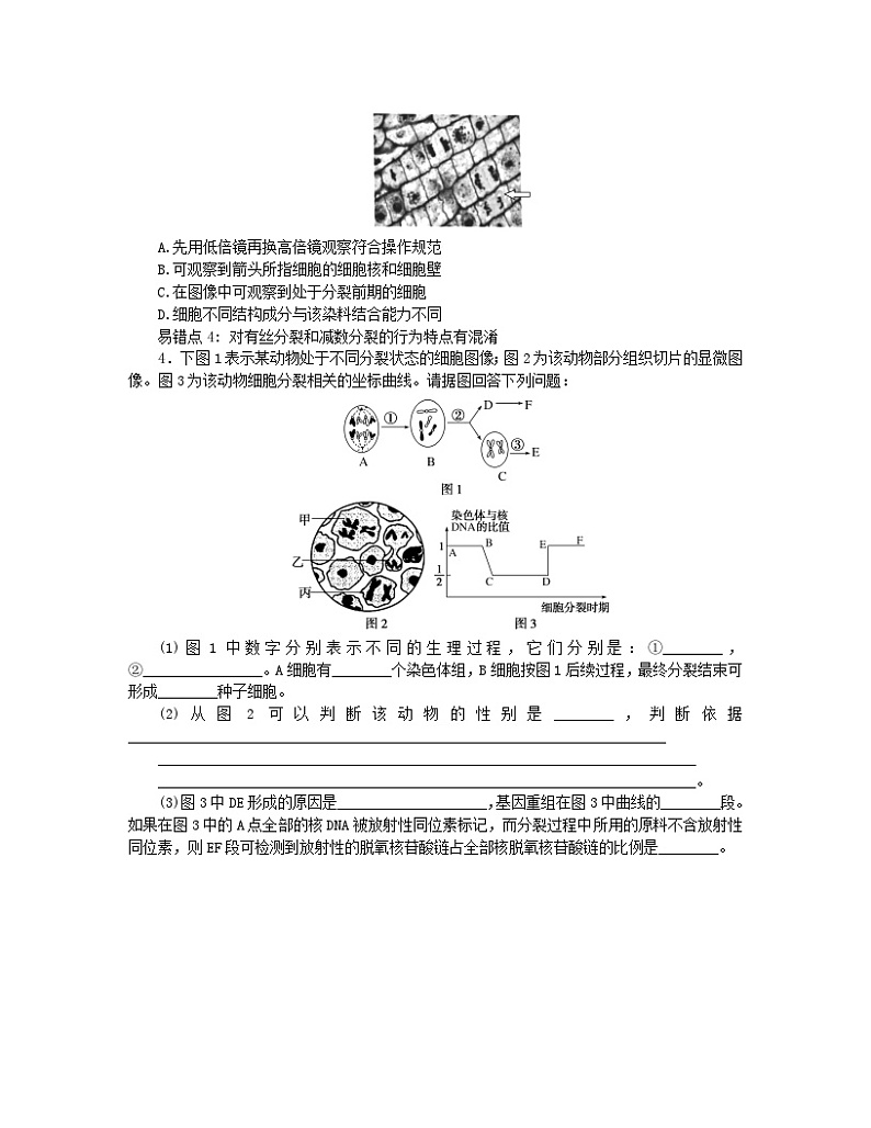 统考版2024高考生物二轮专题复习三考前专项培优必修Ⅰ_3细胞的生命历程第3页