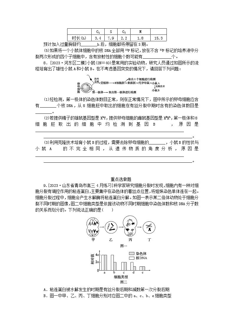 统考版2024高考生物二轮专题复习整合训练5细胞增殖和受精作用第3页