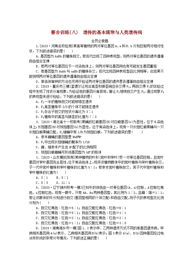 统考版2024高考生物二轮专题复习整合训练8遗传的基本规律与人类遗传病01