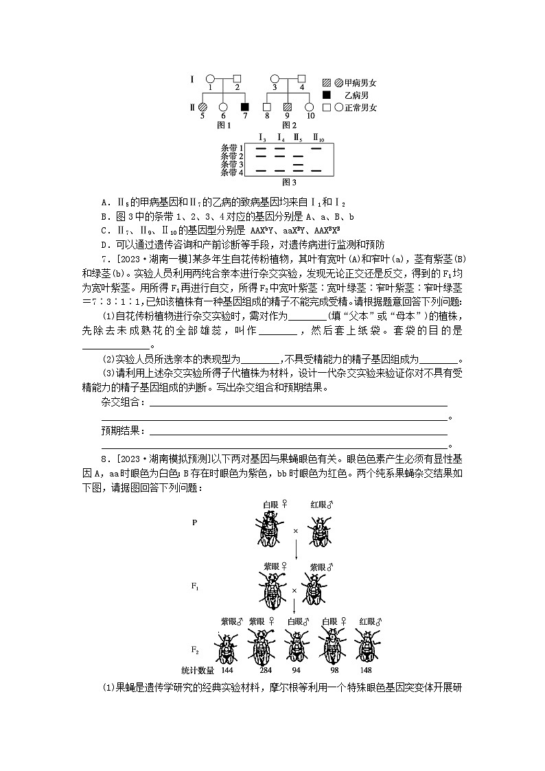 统考版2024高考生物二轮专题复习整合训练8遗传的基本规律与人类遗传病02