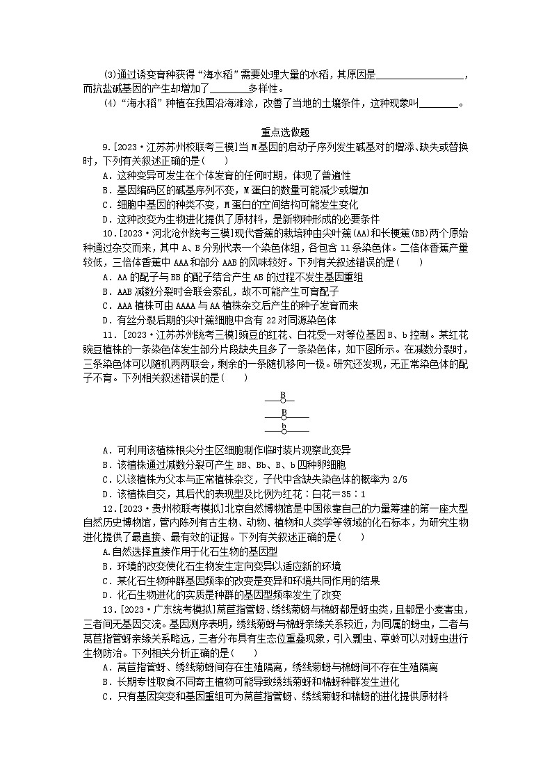 统考版2024高考生物二轮专题复习整合训练9生物变异育种与进化03