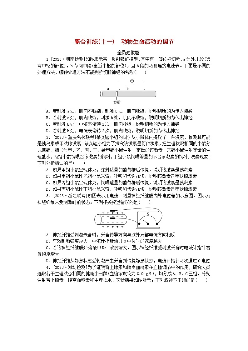 统考版2024高考生物二轮专题复习整合训练11动物生命活动的调节第1页