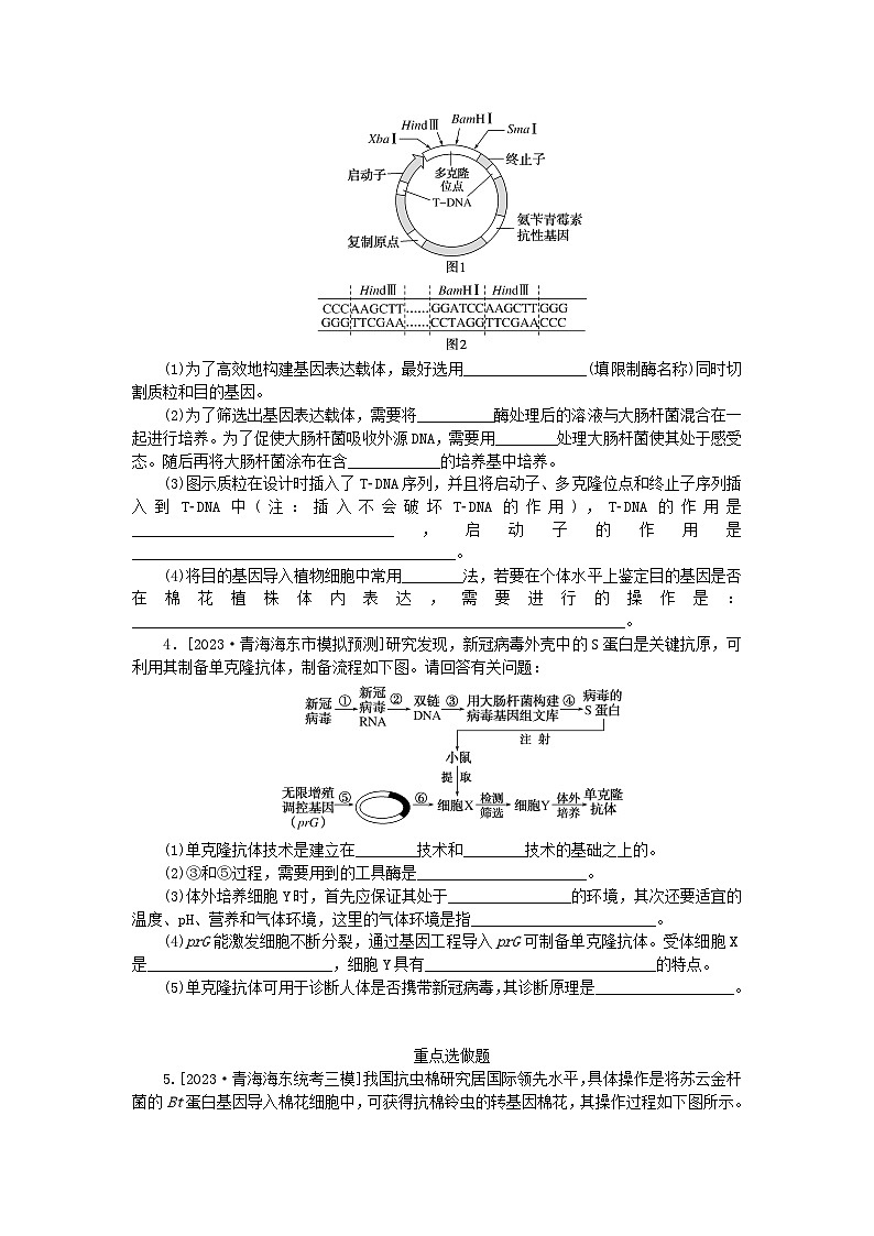 统考版2024高考生物二轮专题复习整合训练15基因工程和细胞工程第2页
