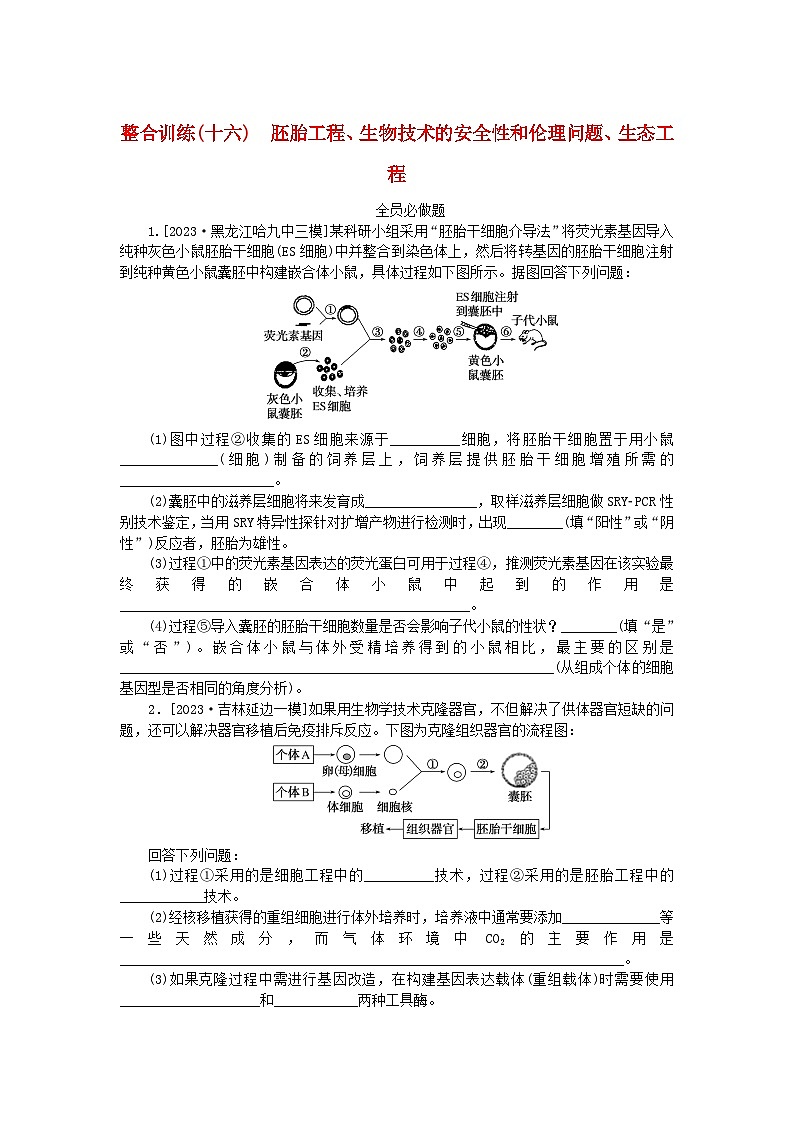 统考版2024高考生物二轮专题复习整合训练16胚胎工程生物技术的安全性和伦理问题生态工程01