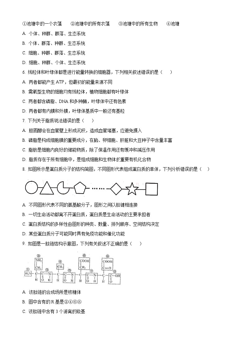 辽宁省辽西联合校2023-2024学年高一上学期期中生物试题02