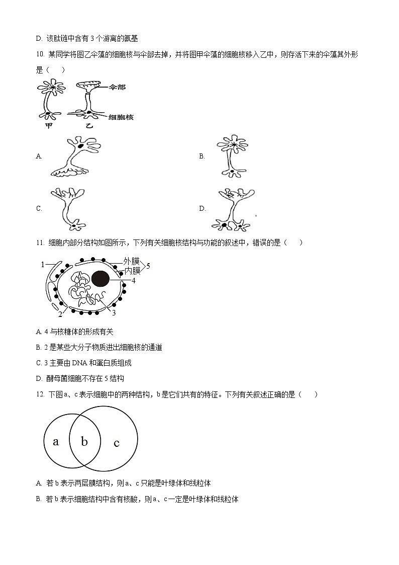 辽宁省辽西联合校2023-2024学年高一上学期期中生物试题03