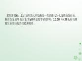 统考版2024高考生物二轮专题复习专题二生命系统的代谢第1讲细胞内的酶和ATP课件