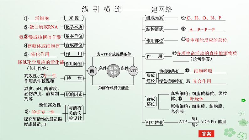 统考版2024高考生物二轮专题复习专题二生命系统的代谢第1讲细胞内的酶和ATP课件05