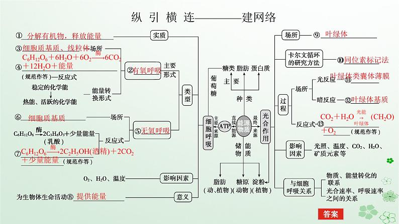 统考版2024高考生物二轮专题复习专题二生命系统的代谢第2讲细胞呼吸和光合作用课件05