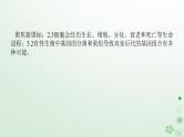 统考版2024高考生物二轮专题复习专题三生命系统的延续第1讲细胞增殖和受精作用课件