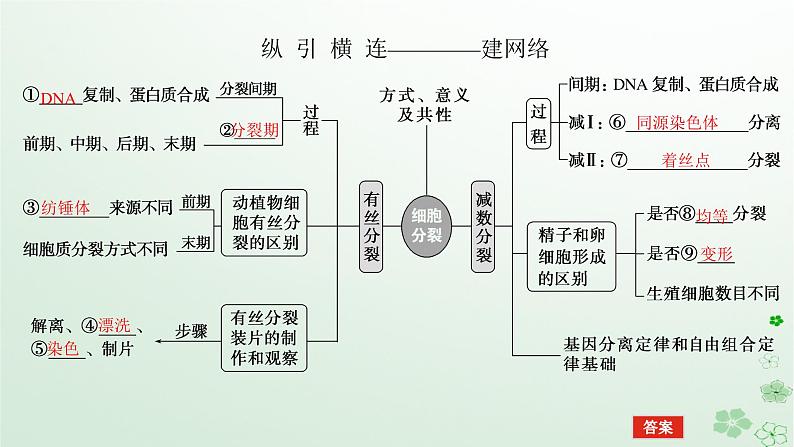 统考版2024高考生物二轮专题复习专题三生命系统的延续第1讲细胞增殖和受精作用课件第5页