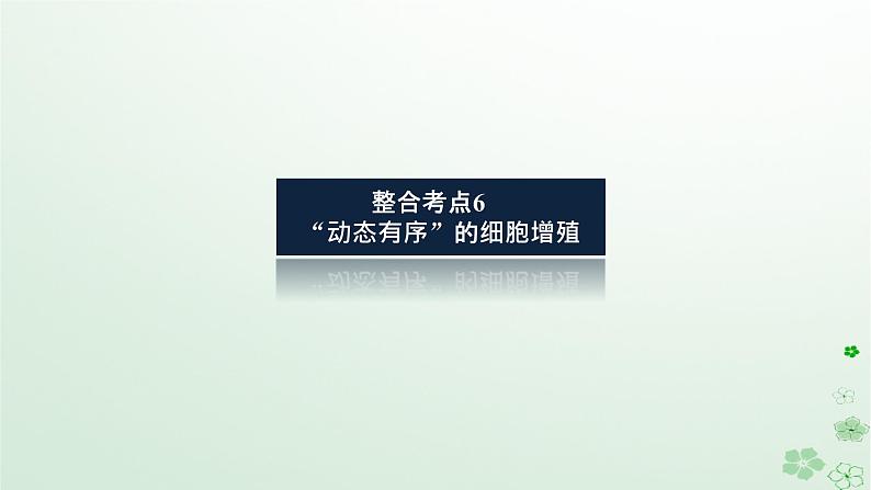 统考版2024高考生物二轮专题复习专题三生命系统的延续第1讲细胞增殖和受精作用课件第8页