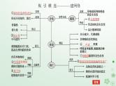 统考版2024高考生物二轮专题复习专题三生命系统的延续第2讲细胞的分化衰老凋亡和癌变课件