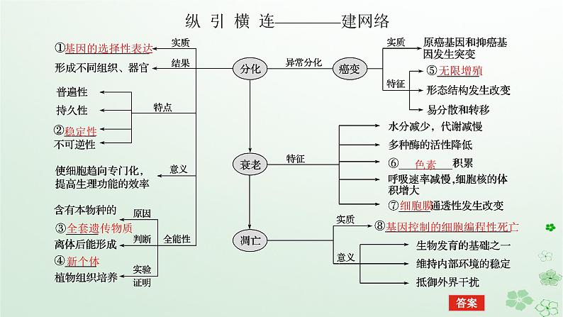 统考版2024高考生物二轮专题复习专题三生命系统的延续第2讲细胞的分化衰老凋亡和癌变课件第5页