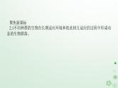 统考版2024高考生物二轮专题复习专题六生物与环境第1讲种群和群落课件
