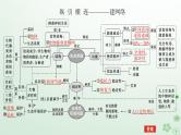 统考版2024高考生物二轮专题复习专题六生物与环境第2讲生态系统和环境保护课件