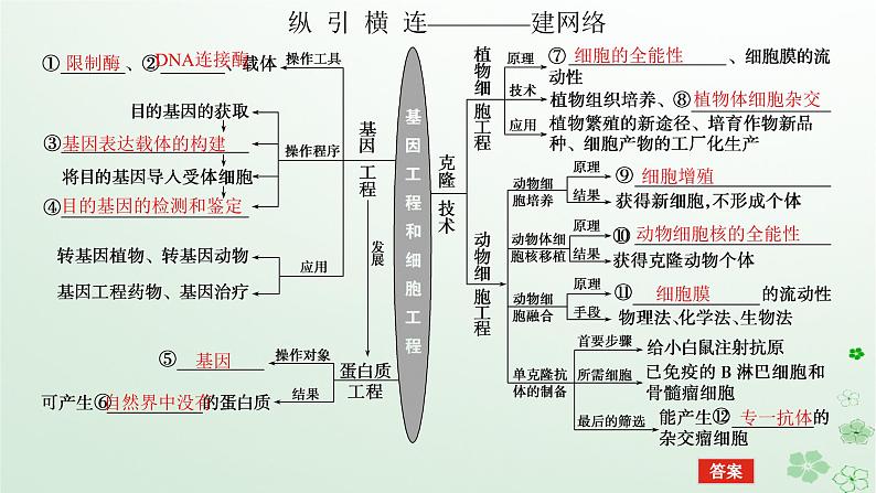 统考版2024高考生物二轮专题复习专题七现代生物科技专题第1讲基因工程和细胞工程课件第5页