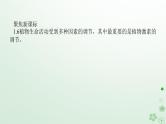 统考版2024高考生物二轮专题复习专题五生命系统的稳态及调节第1讲植物生命活动的调节课件