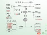 统考版2024高考生物二轮专题复习专题五生命系统的稳态及调节第2讲动物生命活动的调节课件